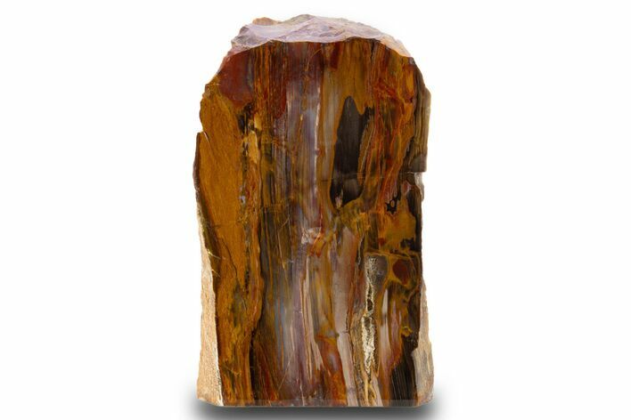 Colorful Polished Petrified Wood Stand Up - Utah #302992